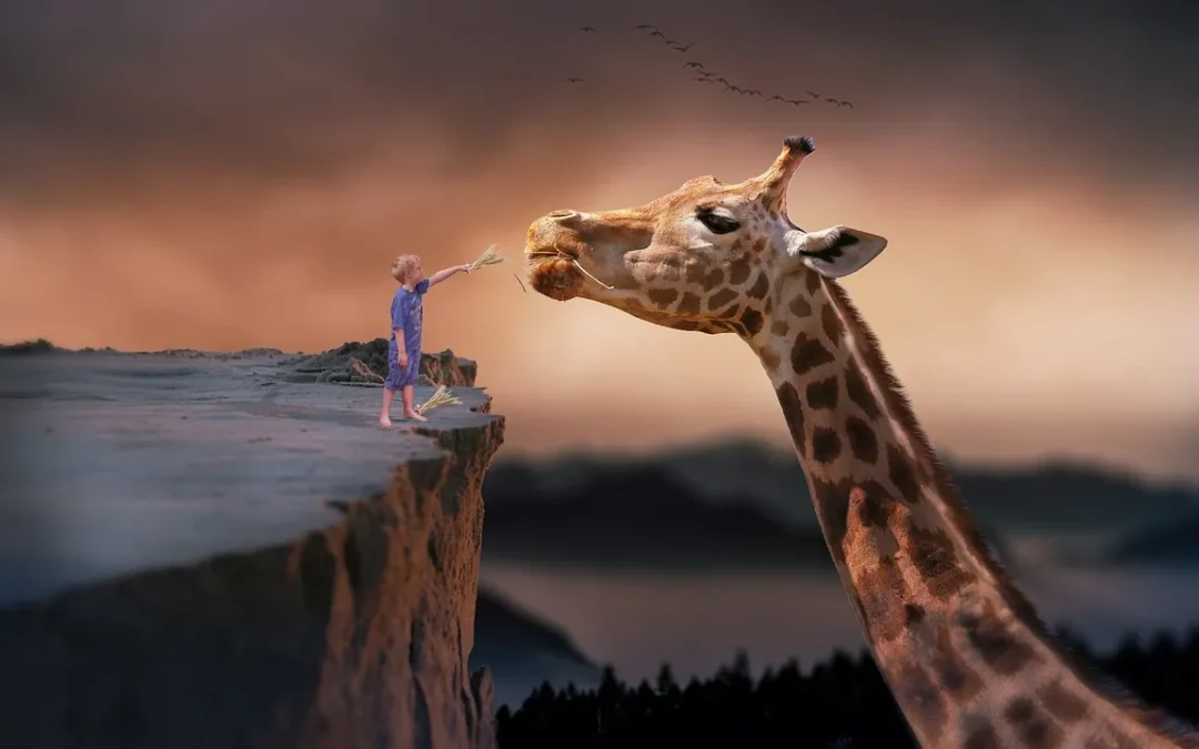 Enfant nourrissant une girafe au bord d'une falaise au coucher du soleil.